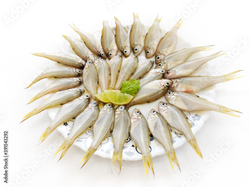 Bald Glassy Fish / Malabar Glassy Perchlet Fish (Ambassis Dussumieri), Decorated with curry Leaves and lemon Slice .White background.