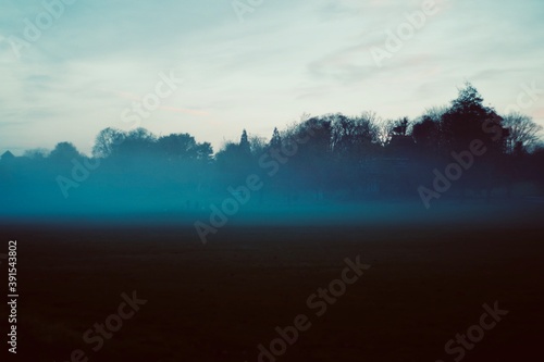 fog over the park at sunrise
