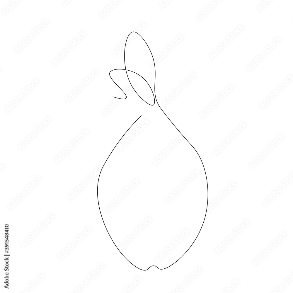 Pear fruit on white background. Vector illustration Pear fruit on white background. Vector illustration
