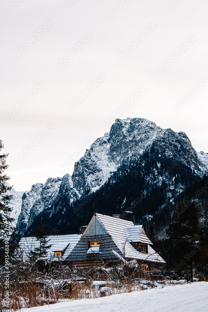 Winter landscape of a wooden house on a background of snow-covered forest and mountains. Place for text or advertising