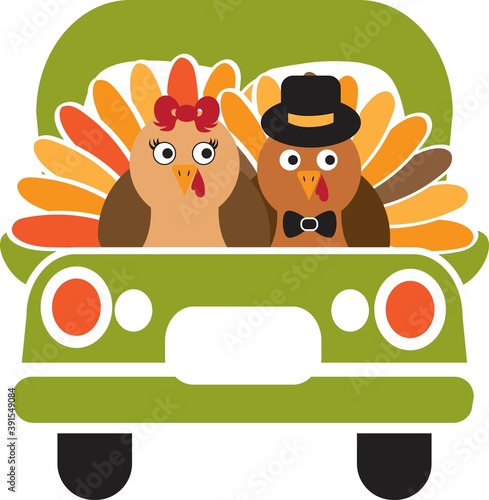 Turkey truck. Green truck with Turkey. Turkey birds