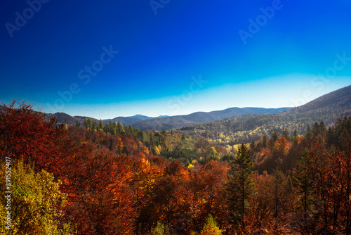 autumn in the mountains