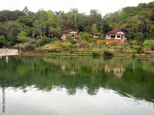 Beautiful view of the lack in the forest with green trees,