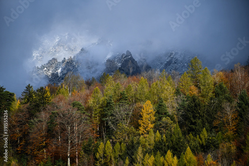 Forest in autumn colors, with snow-capped mountains partially obscured by thick clouds in the background, outside of Vaduz, Liechtenstein