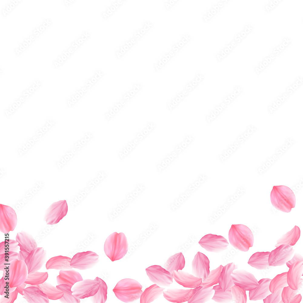 Sakura petals falling down. Romantic pink bright b