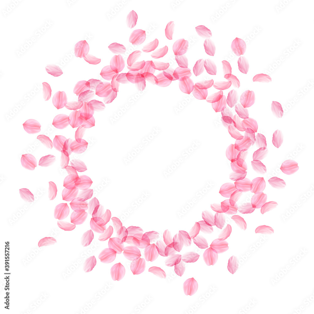 Sakura petals falling down. Romantic pink silky me