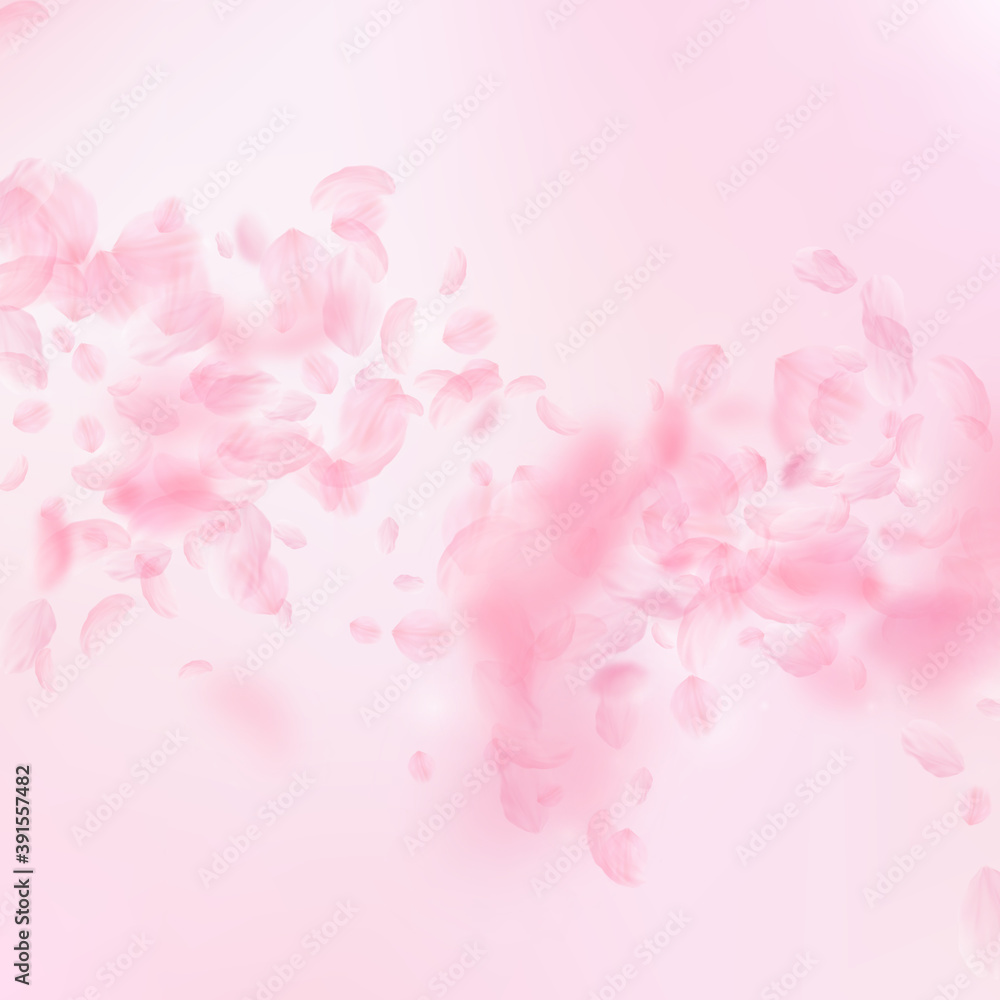 Sakura petals falling down. Romantic pink flowers Sakura petals falling down. Romantic pink flowers