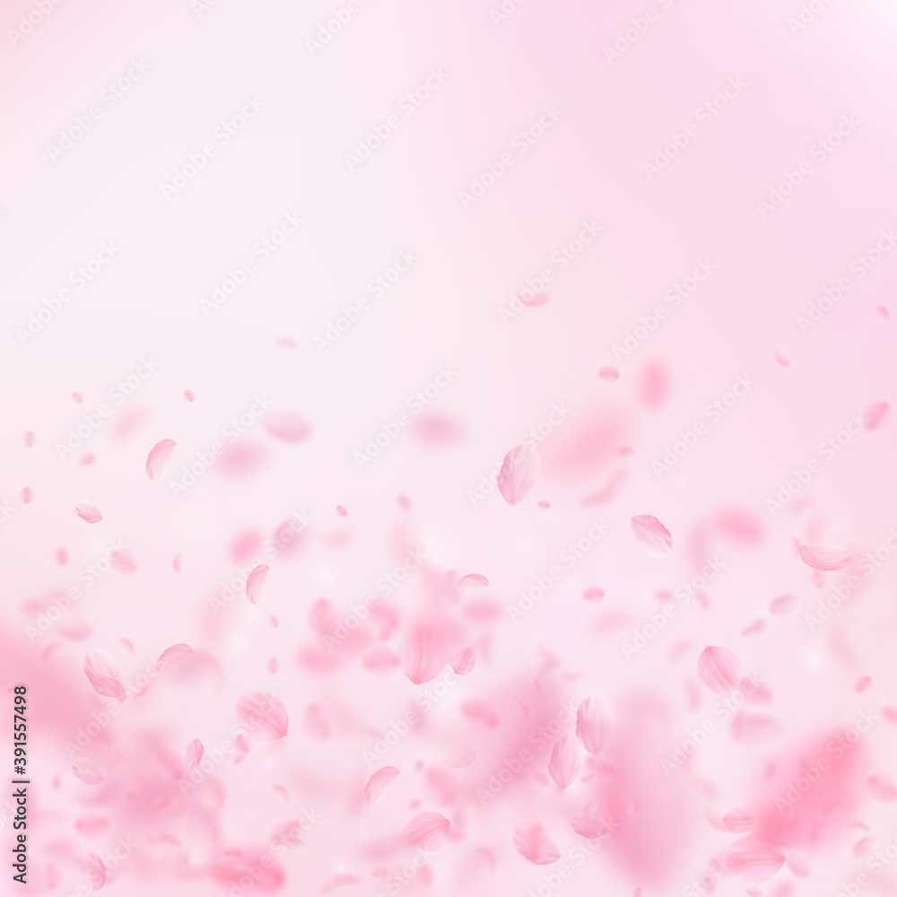 Sakura petals falling down. Romantic pink flowers 