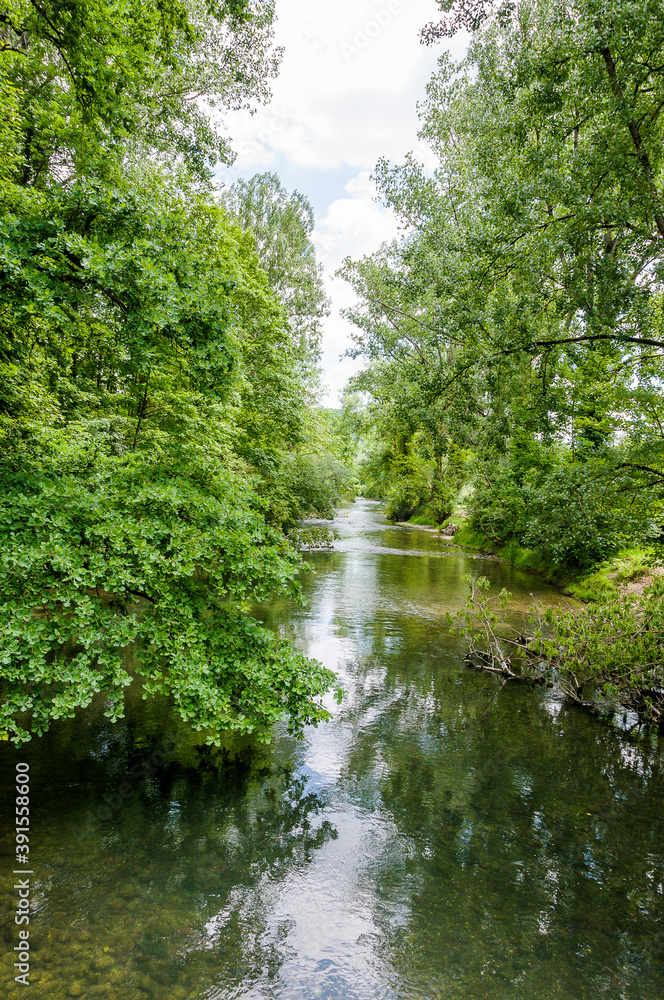 Obraz premium Brugg, Wasserschloss, Flusslandschaft, Aare, Fluss, Aareuferschutzgebiet, Wald, Waldweg, Brückenwanderung, Auenschutzpark, Aargau, Sommer, Schweiz