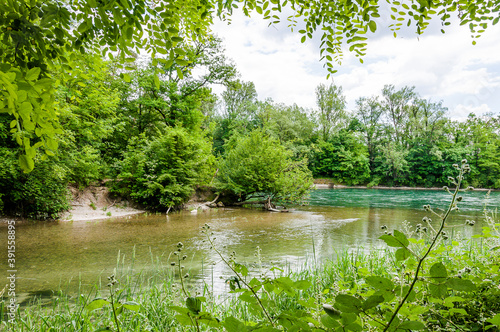 Photos Brugg, Wasserschloss, Flusslandschaft, Aare, Fluss, Aareuferschutzgebiet, Wald,