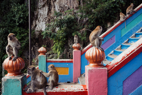 Batu Cave Temple in Kuala Lumpur