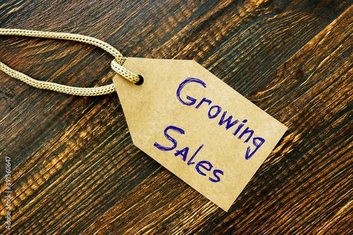Business concept about Growing Sales with phrase on the sheet.