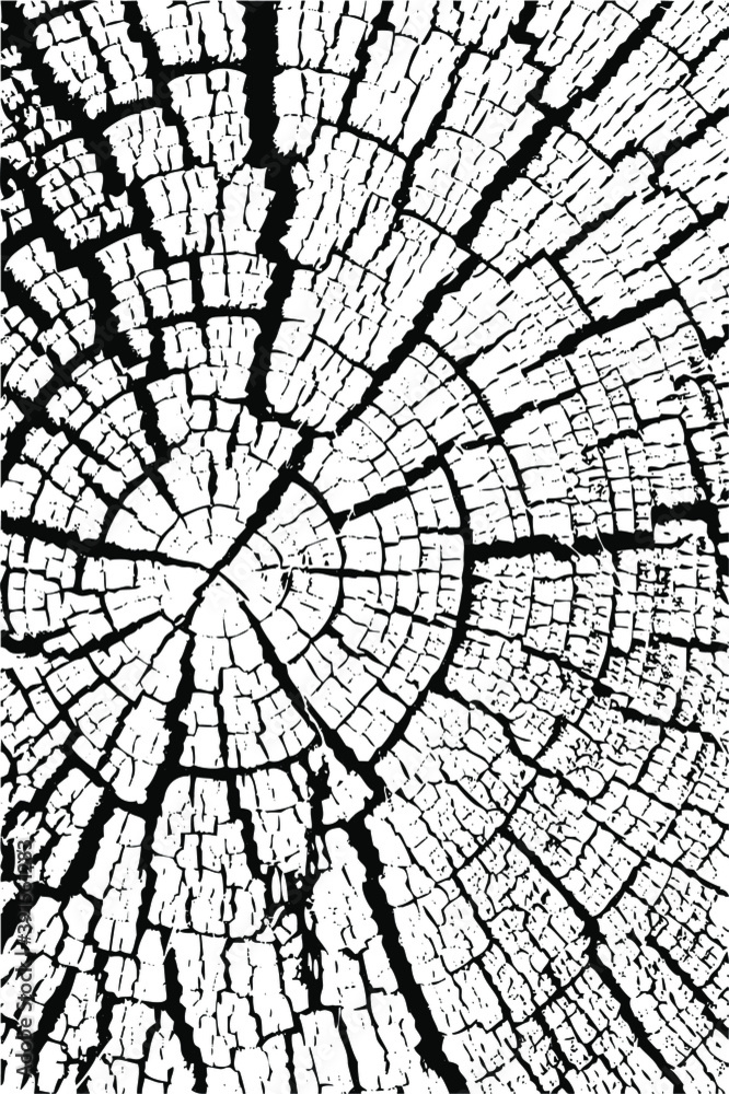 Obraz premium black and white background