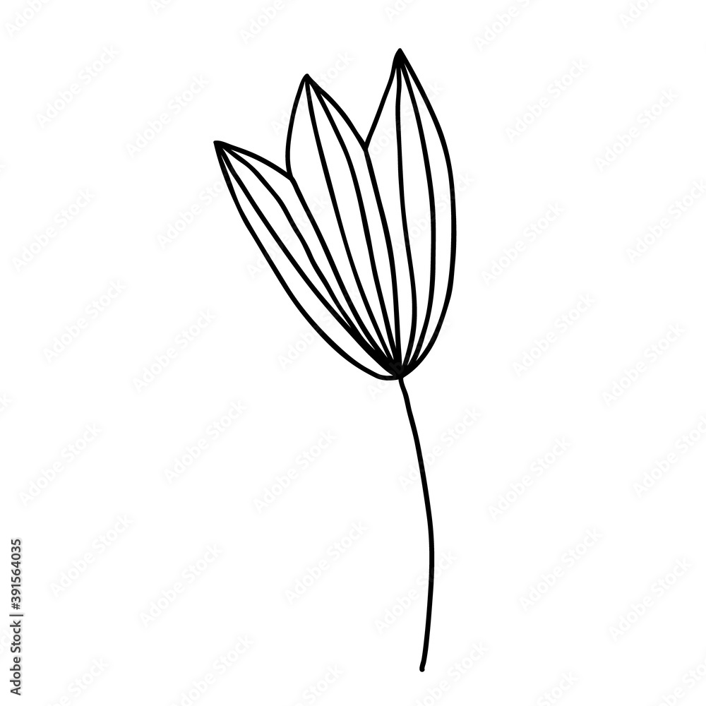 Obraz premium Hand drawn flower doodle