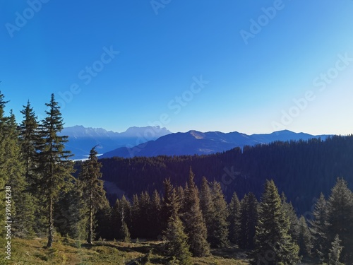 hunting on the mountain in autumn on a sunny day with a beautiful view to the alps
