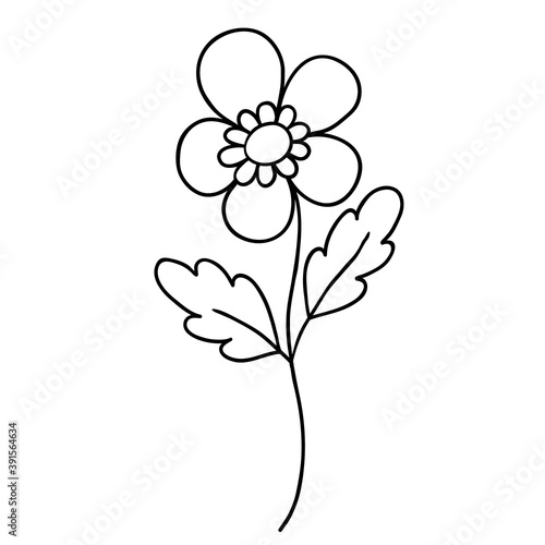 Floral Doodle icon for social media story. Hand drawn doodle chamomile © ARTvektor