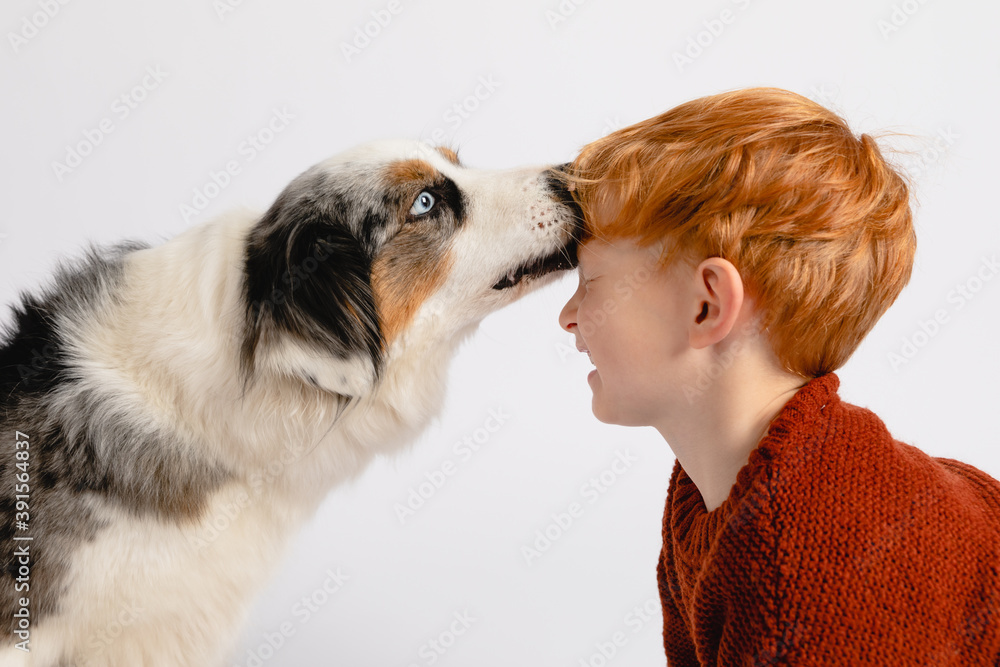 Australian Shepherd Hund und Junge sind beste Freunde Australian Shepherd Hund und Junge sind beste Freunde