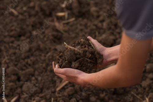 Hand of expert farmer hold soil from grounds to check quality to prepare sow a seed or planting a vegetable at farm.