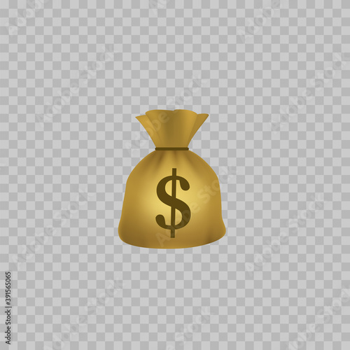 Bag with Money. Realistic Money bag icon. Isolated. Vector
