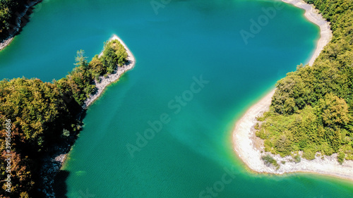 Shore of a lake in a forest