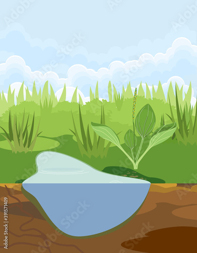 Abstract cartoon landscape with split level freshwater pond