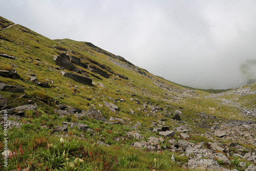Valley of Flowers in Himalaya Uttarakhand India. Valley of Flowers