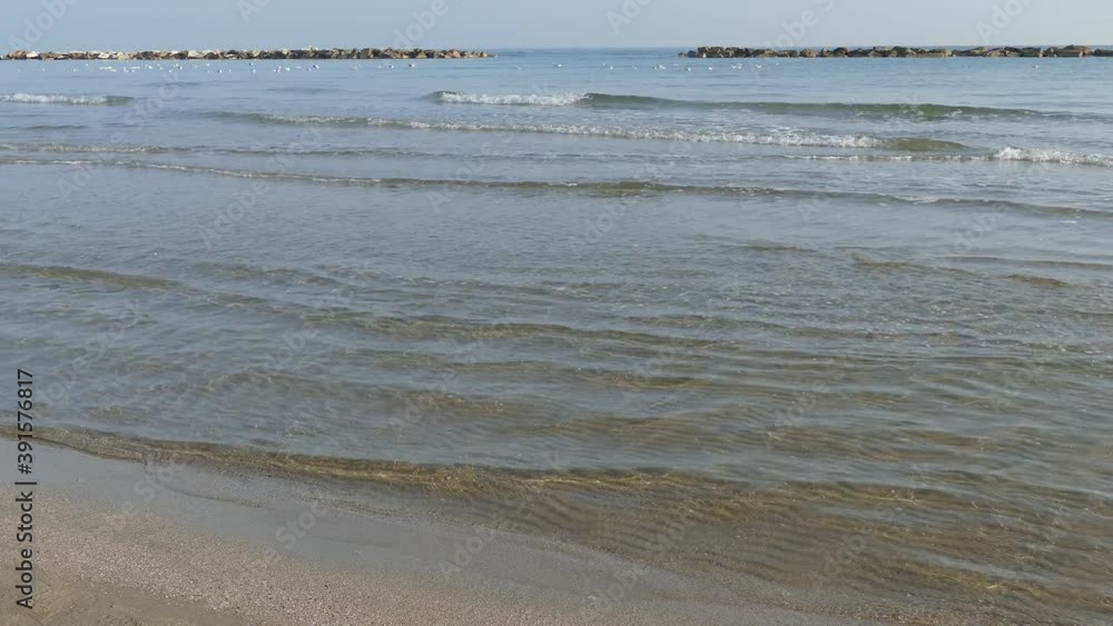 Video mare con gabbiani persone e barche in 4K Video mare con gabbiani persone e barche in 4K
