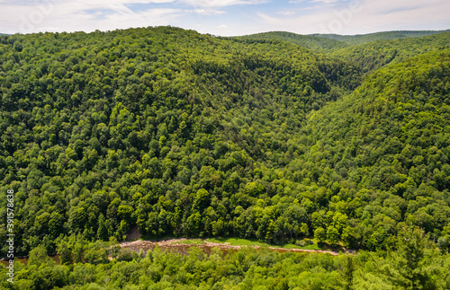 Pine Creek Gorge photo