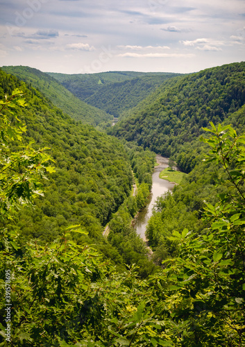 Pine Creek Gorge