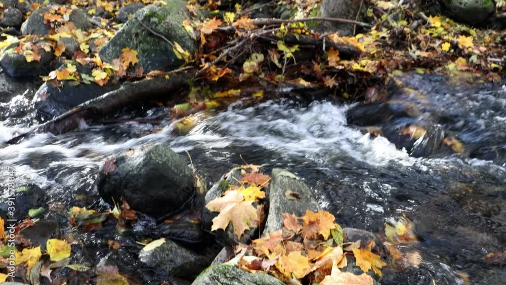 Water flows under rocky shore with fallen branches and colored leaves. Water flows under rocky shore with fallen branches and colored leaves.
