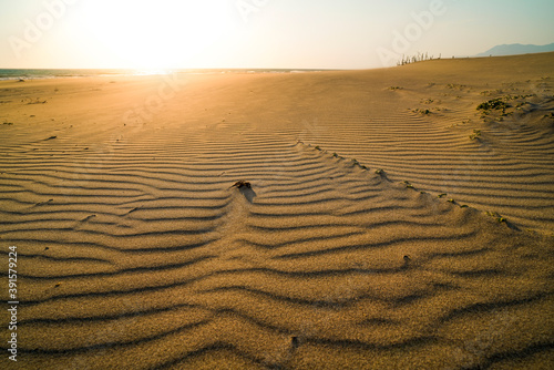 Wind patterns in the sand