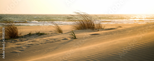 Fotografia Wind swept sand dunes at sunset