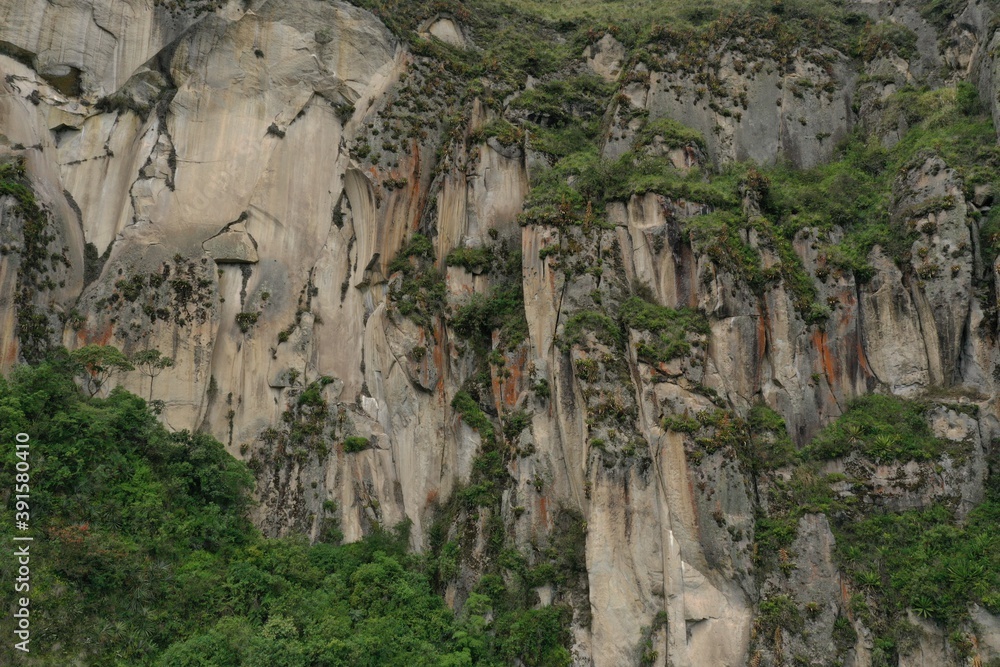 A large cliff in the andean mountains of Ecuador that is covered by grasses and bromelias