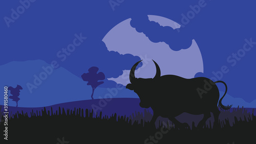 Night landscape and bull silhouette