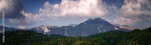 Panoramic sunset over mountains and pine forest © Studio-FI
