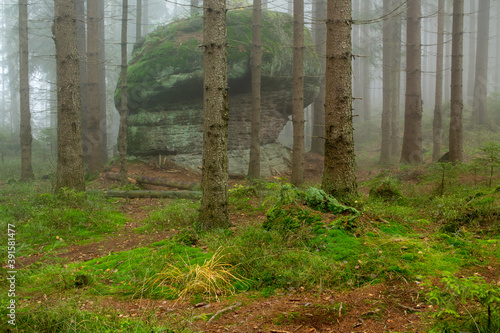 фотографія Rock mushroom in a fogg