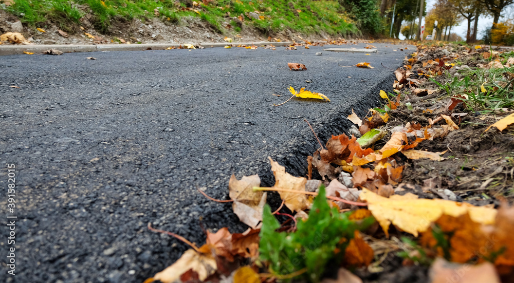 Obraz premium Nahaufnahme: Blätter an und auf einem Radweg an einer Straße im Herbst – selektiver Fokus