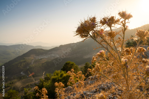 Photo Sunset on a mountainside panoramic