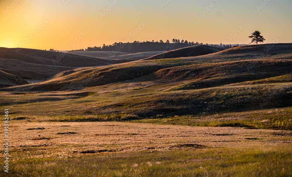 Fototapeta premium Wind Cave National Park