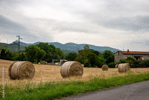 HAY BALES in the city of terni