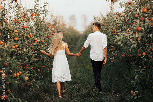 Obraz na płótnie Back view of romantic couple walks in the apple orchard in summer day. They holding hands. w salonie