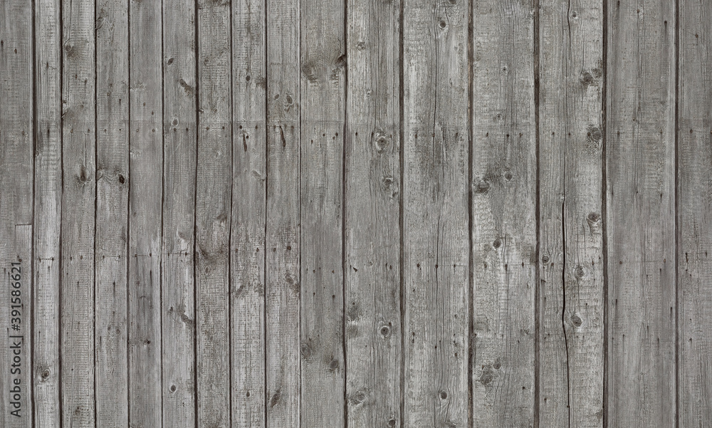 Fototapeta premium Gray wood lining (raster texture for designers)