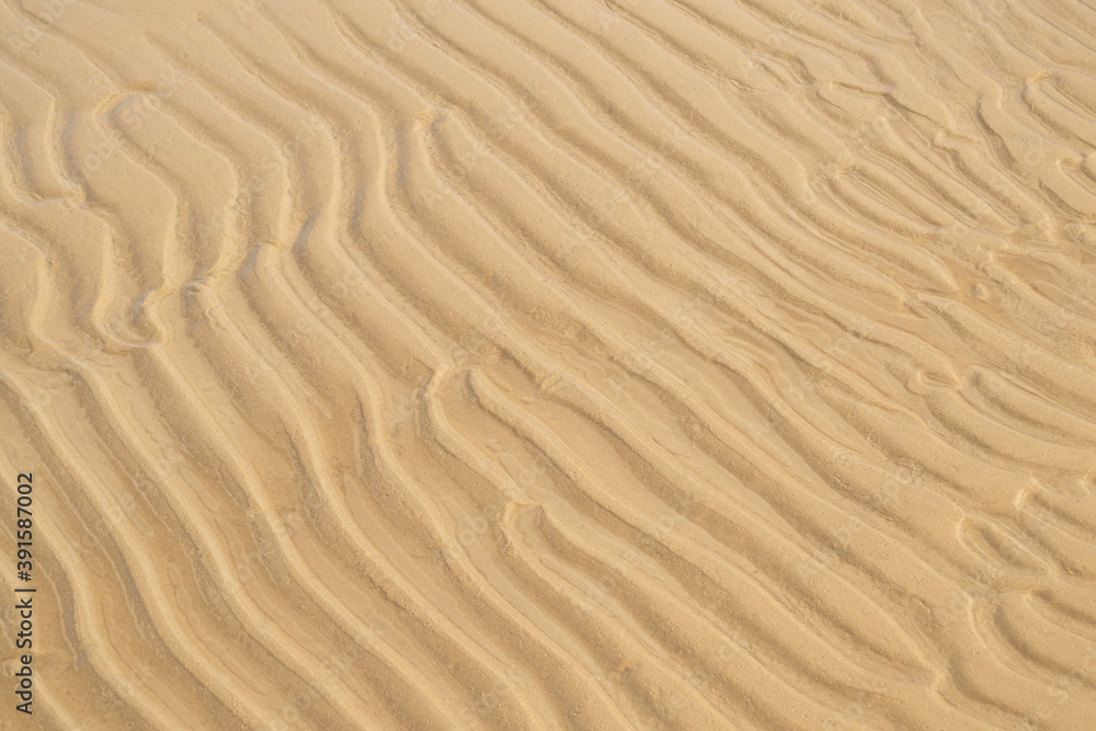 Sand texture on a sea shore. Wavy sand background close-up. Summer and vacotion concept. Top view, copy space. Sand texture on a sea shore. Wavy sand background close-up. Summer and vacotion concept. Top view, copy space.