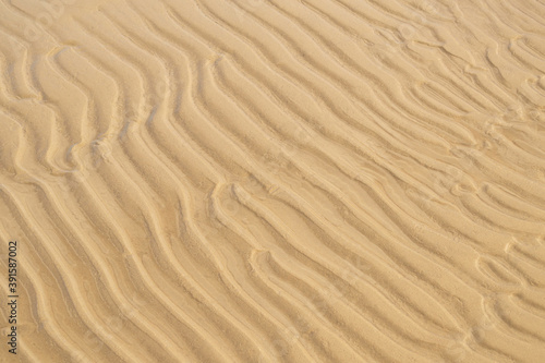 Sand texture on a sea shore. Wavy sand background close-up. Summer and vacotion concept. Top view, copy space.
