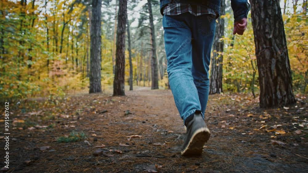 Close up following shot of male legs walking in autumn forest Close up following shot of male legs walking in autumn forest
