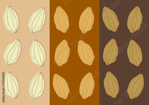 background of cacao beans illustration
