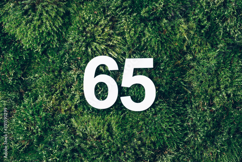 Green grass, digit sixty-five. Birthday greeting card with inscription 65. Anniversary concept. Top view. White numeral on eco moss background. Numerical digit, Celebration event, template, flyer