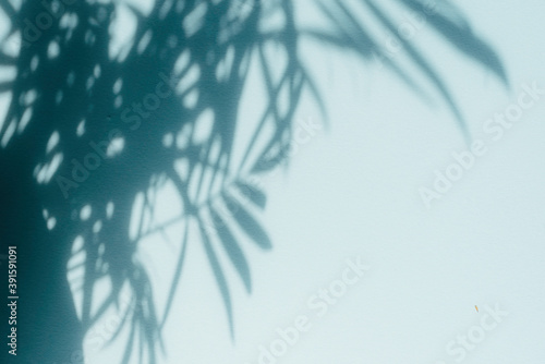 Palm leaf shadows on blue wall. Copy space. Backdrop texture for design