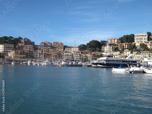 boats in the harbor