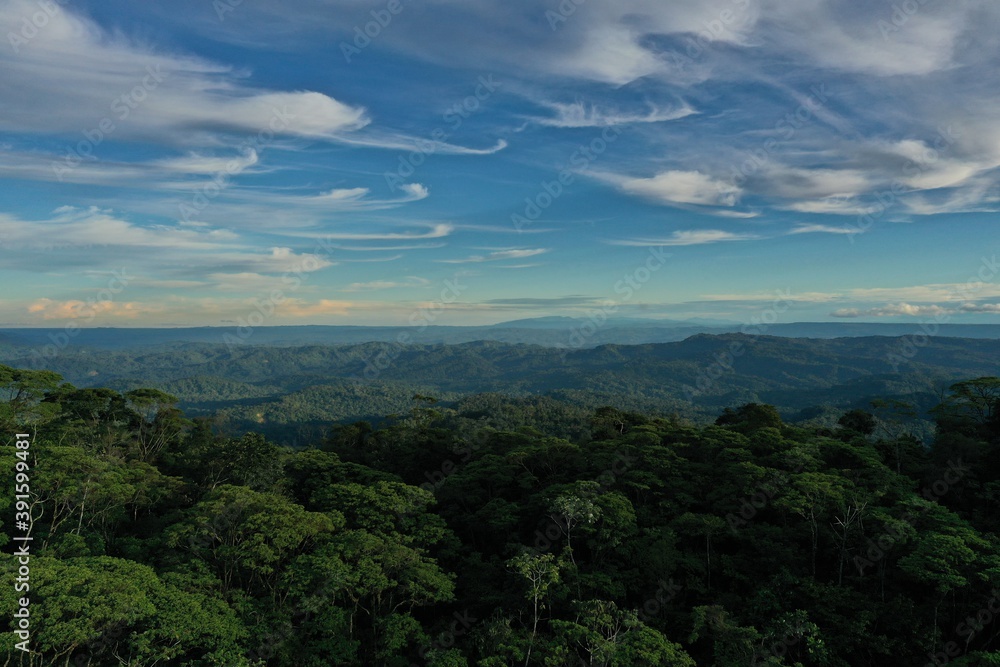 Aerial view of a tropical rainforest with a beautiful sky or cloudscape Aerial view of a tropical rainforest with a beautiful sky or cloudscape